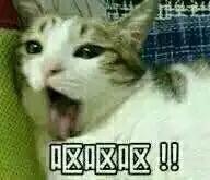 武磊推空门,推武磊