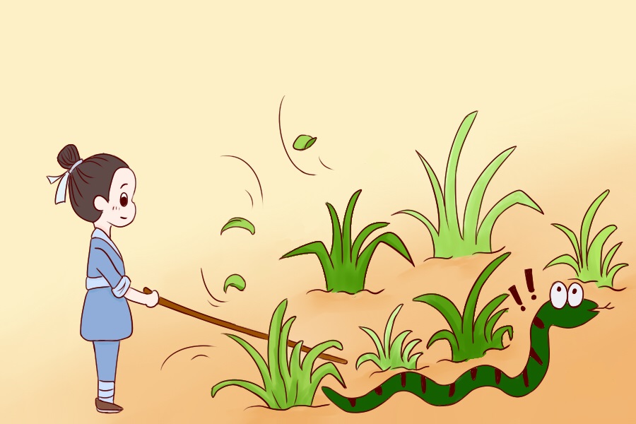 物业都说抓不完!南宁一小区惊现眼镜蛇银环蛇,养猫养狗能防蛇吗