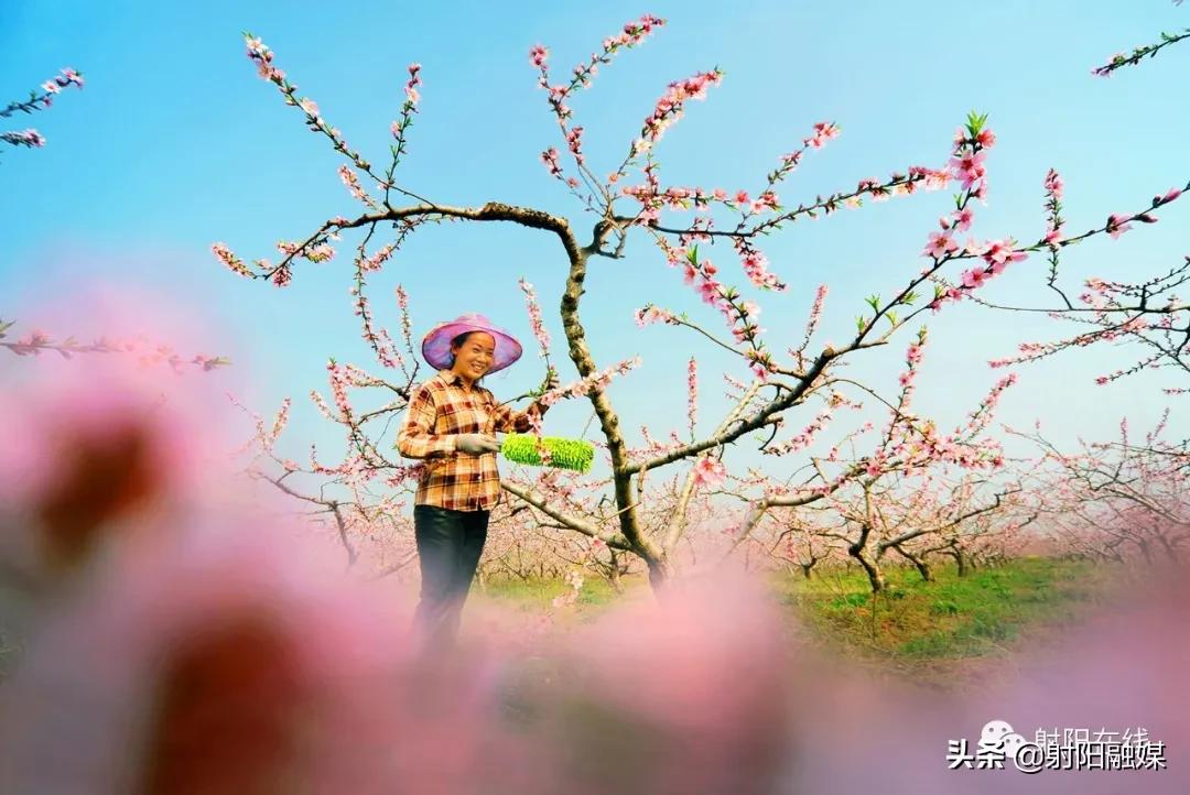 射阳是一个有爱的城市吗,射阳一座美丽的城