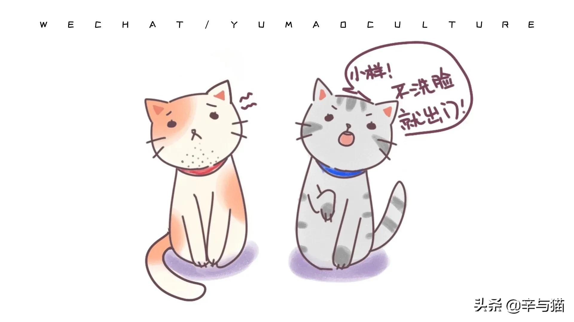 猫咪黑下巴原因及解决办法,猫咪黑下巴能剃下巴毛吗