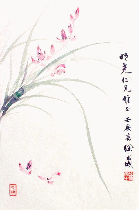 淡彩兰花100幅,顶级淡彩兰花图片