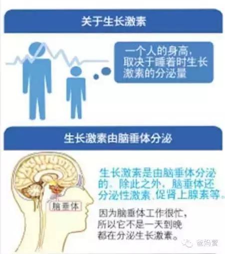 孩子几点睡觉有助于长高15岁,孩子几点睡有利于长高