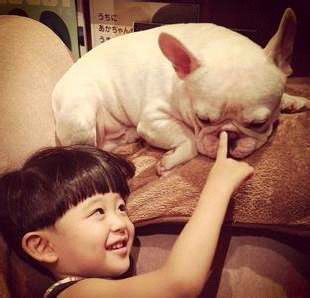 宠物狗吐该怎么办,萌宠知识普及答案