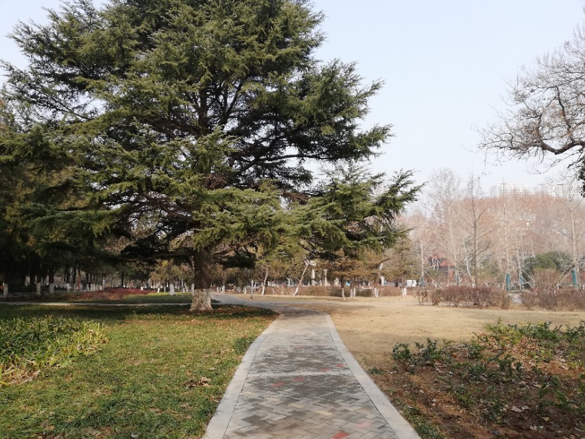 创业者有一天倒闭了怎么办,刚开始创业迷茫期如何度过