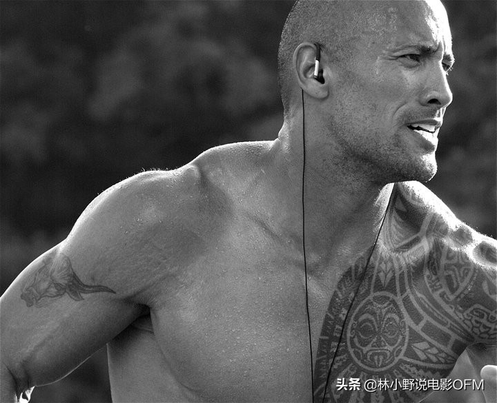 好莱坞动作巨星,强森好莱坞片酬