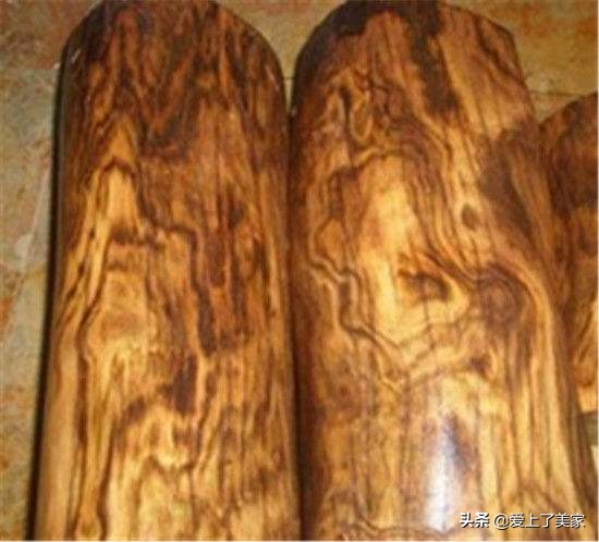 虎斑木要怎么区分真假,虎斑木质量怎么样