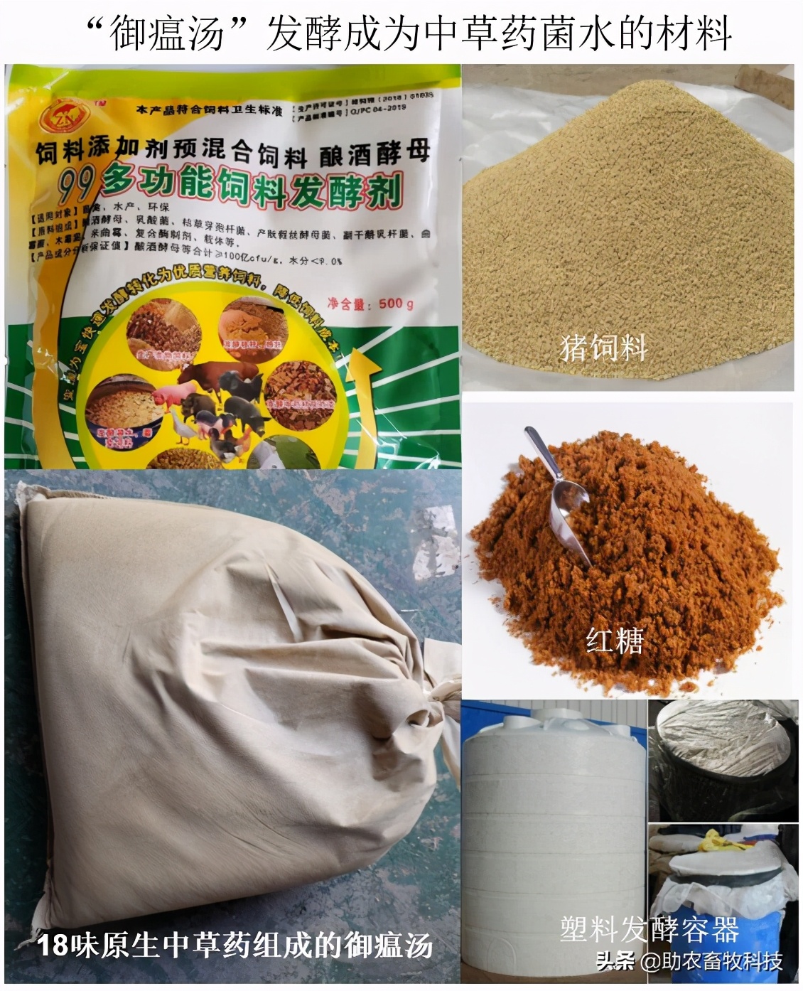 养猪用哪种益生菌效果好 (河南网红猪场用的益生菌)