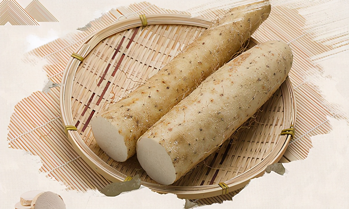 脾虚吃什么食物补身健脾最快,脾虚吃什么食物最补最快