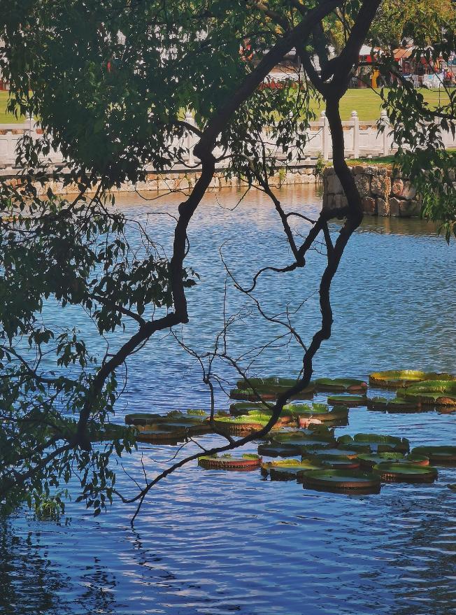 珠海最值得去的古村,珠海最值得去的古村落