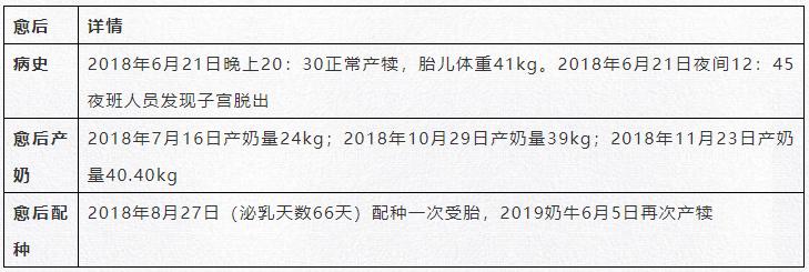 牛子宫脱出整复后死亡原因,奶牛子宫脱出治疗方法