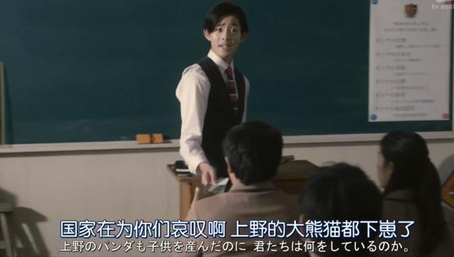 大熊猫在外国有多红,大熊猫外国人印象