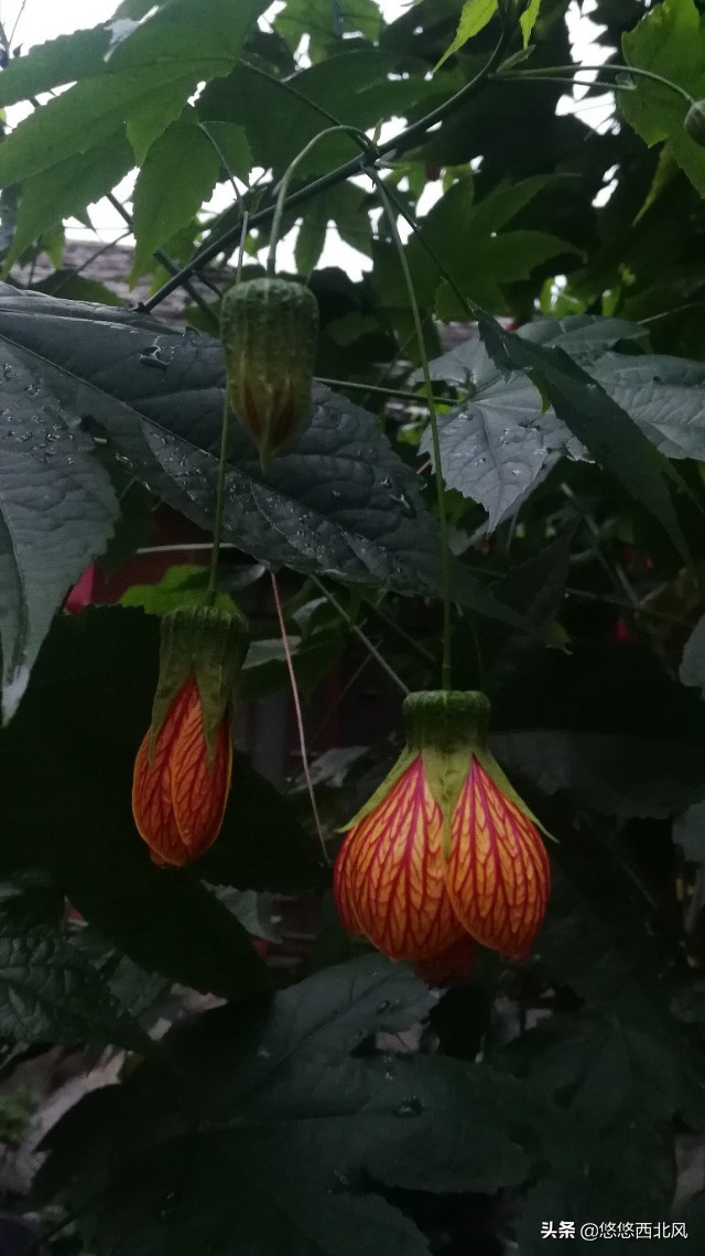 贵州行影像,贵州之旅day1