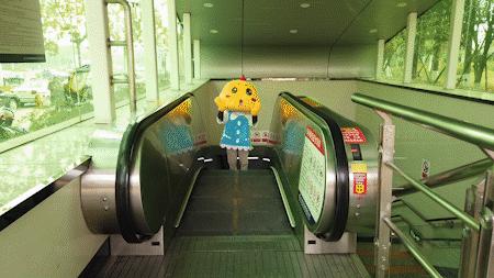 长沙适合孩子玩的乐园,长沙新晋网红打卡地