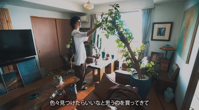 独居生活明星,明星独居照片