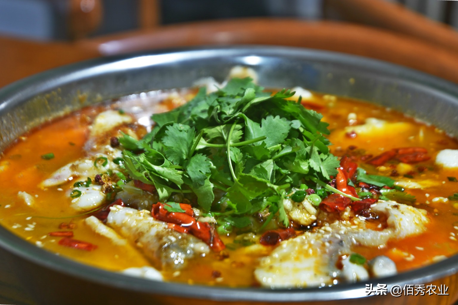 放弃年薪50万高薪去创业,农村小伙子放弃打拼