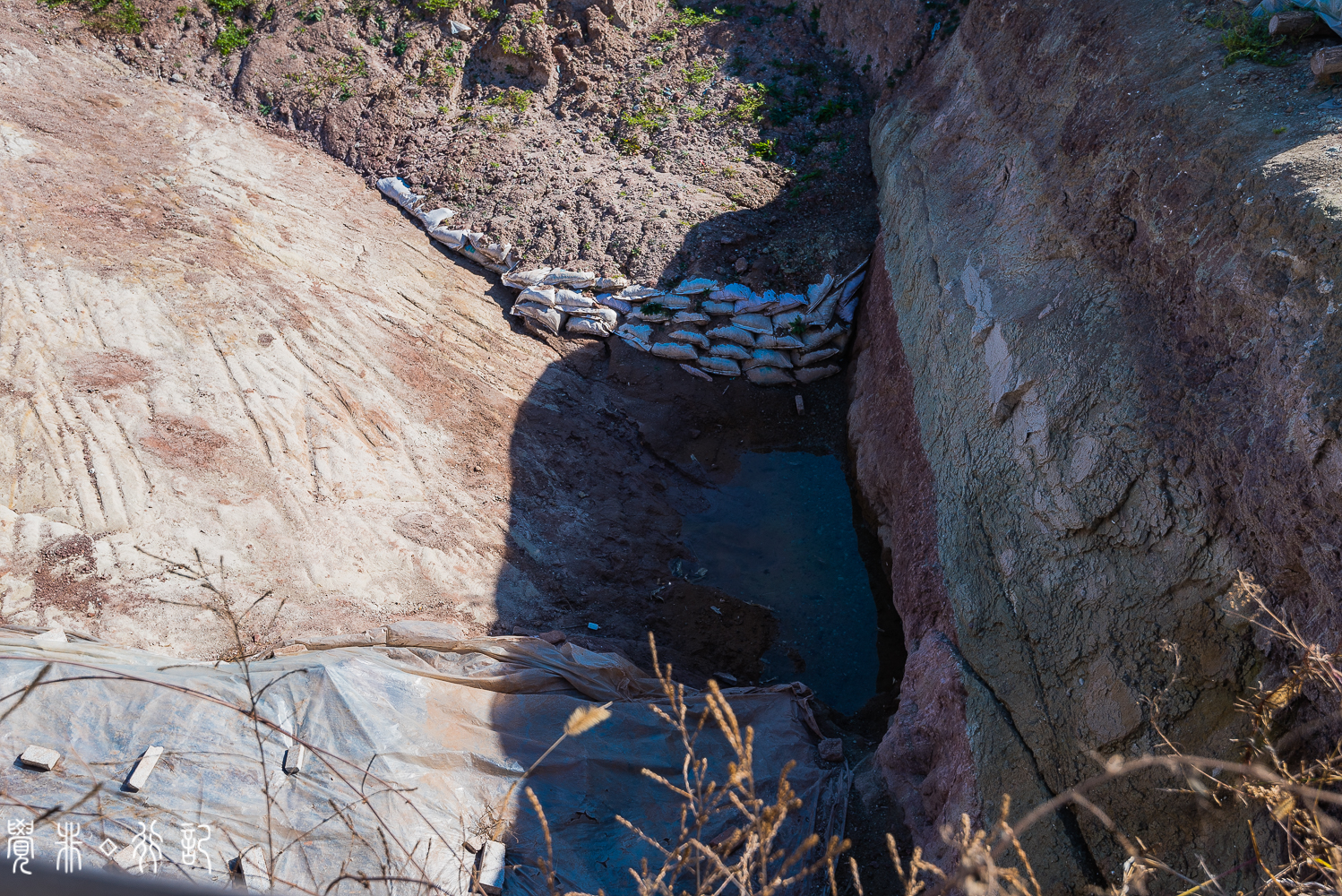 莱阳白垩纪国家森林公园,莱阳白垩纪公园