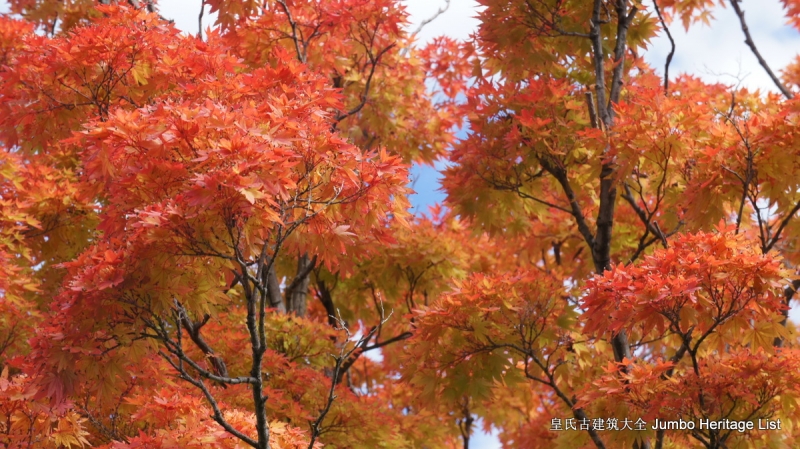 第29回：名校毕业风光不再，穹顶之下天空湛蓝