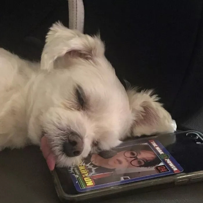 是不是每个儿子都想和自己老爹来一架？