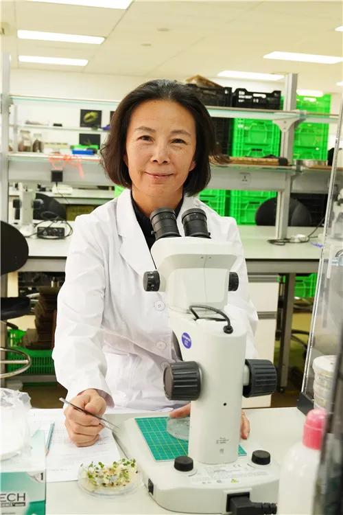 为什么中国“种子方舟”要建在这里？