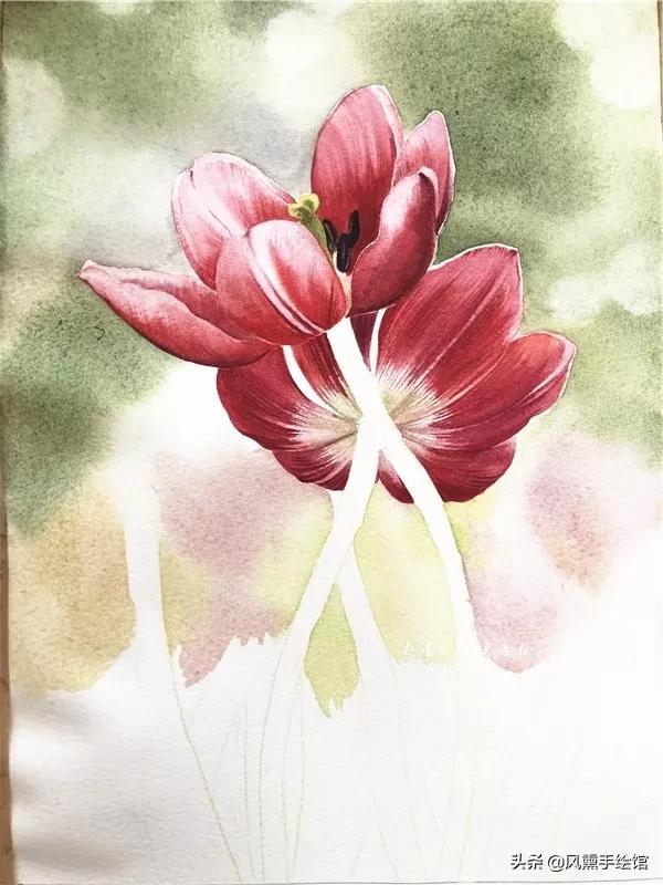怎么用水彩笔画郁金香教程,粉色水彩郁金香怎么画图片
