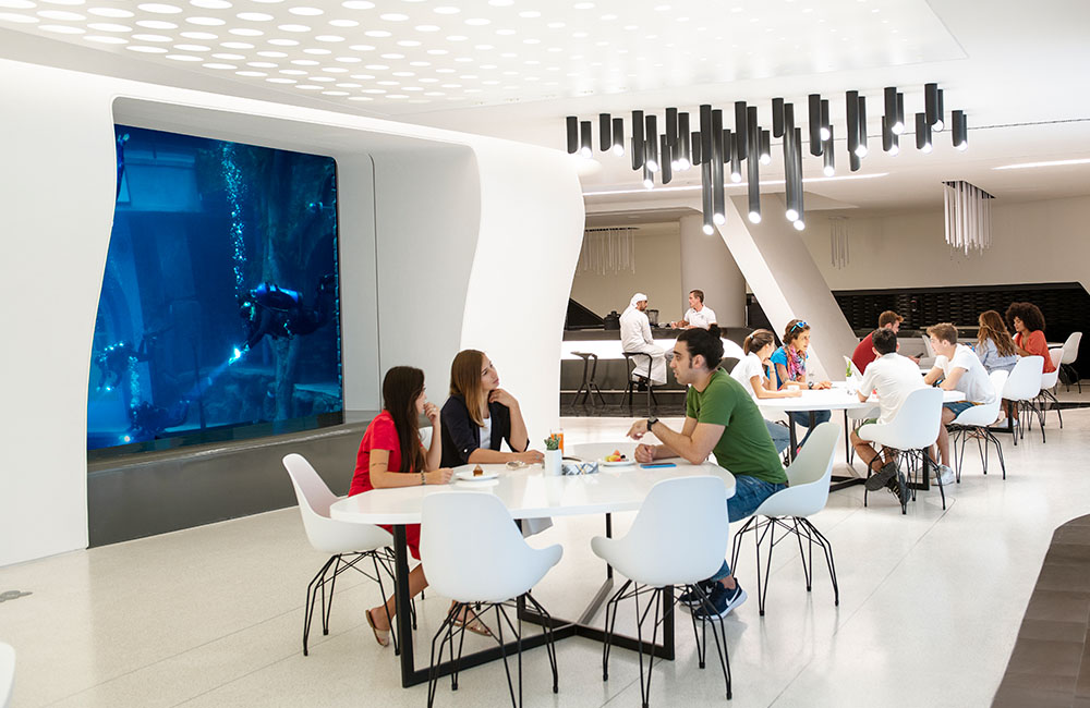 世界最大游泳池蓄水,60米游泳池深度多少