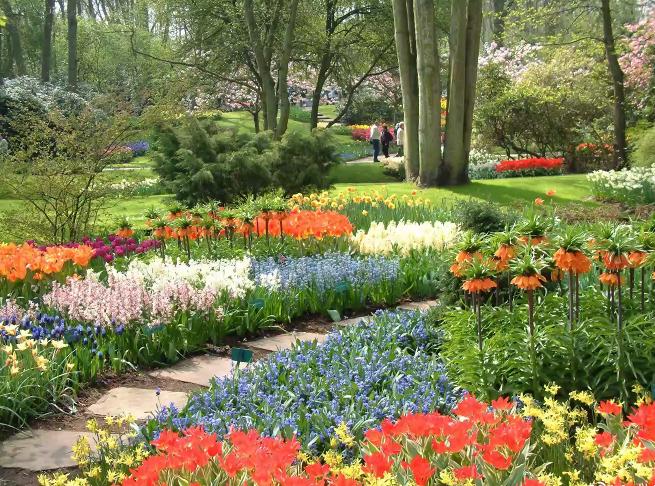 园林花卉学有哪些基础知识,园林花卉学书籍