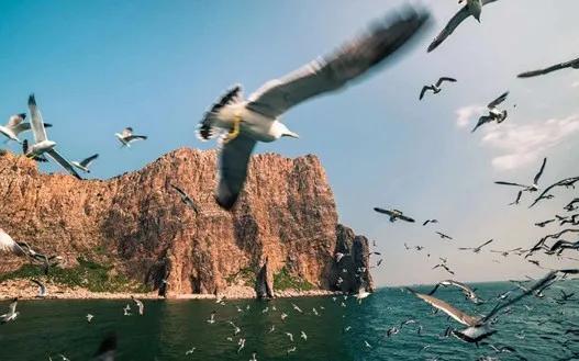 宫崎骏的眼中的世界,青岛宫崎骏的夏天在哪