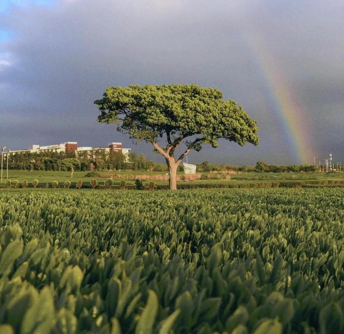 微信圈背景图小众,微信小众朋友圈背景
