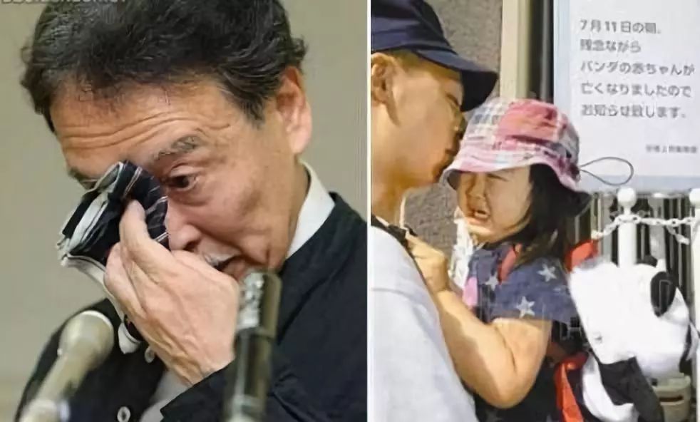 为什么全世界都喜欢大熊猫,世界各地的人们都喜爱大熊猫英语