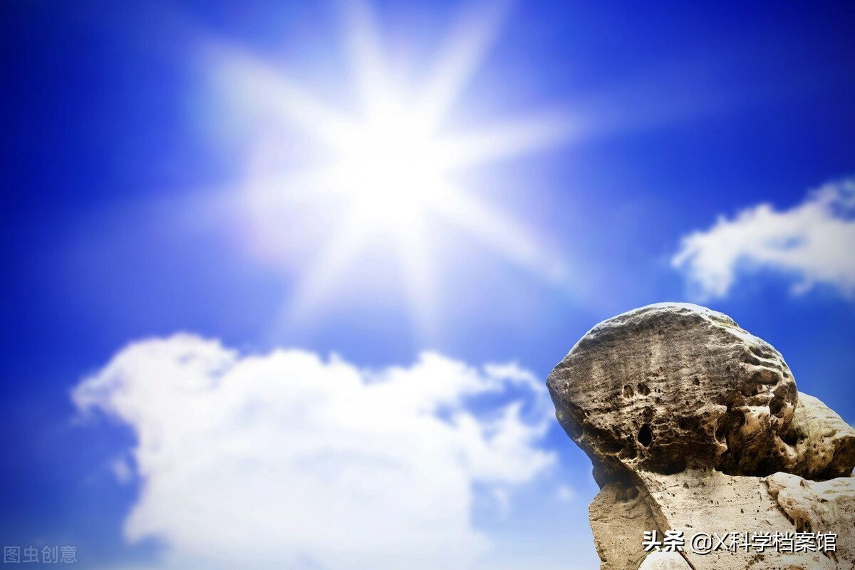 让你大开眼界的生物视频,大开眼界的新物种