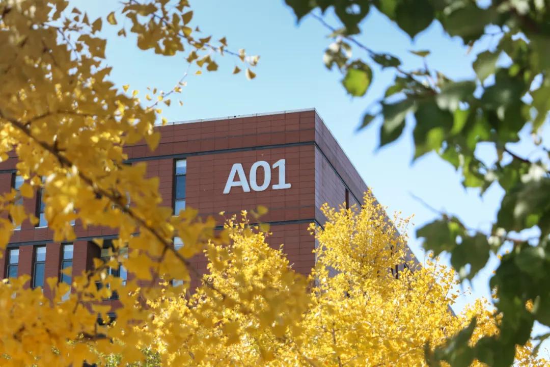 醉美大工秋|读书不觉已秋深，____________