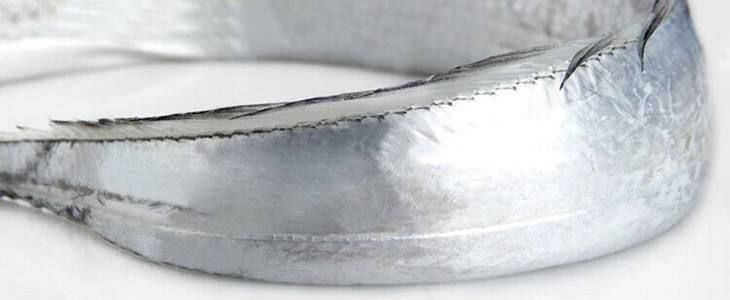 渤海当季海鲜推荐,中国渤海海鲜