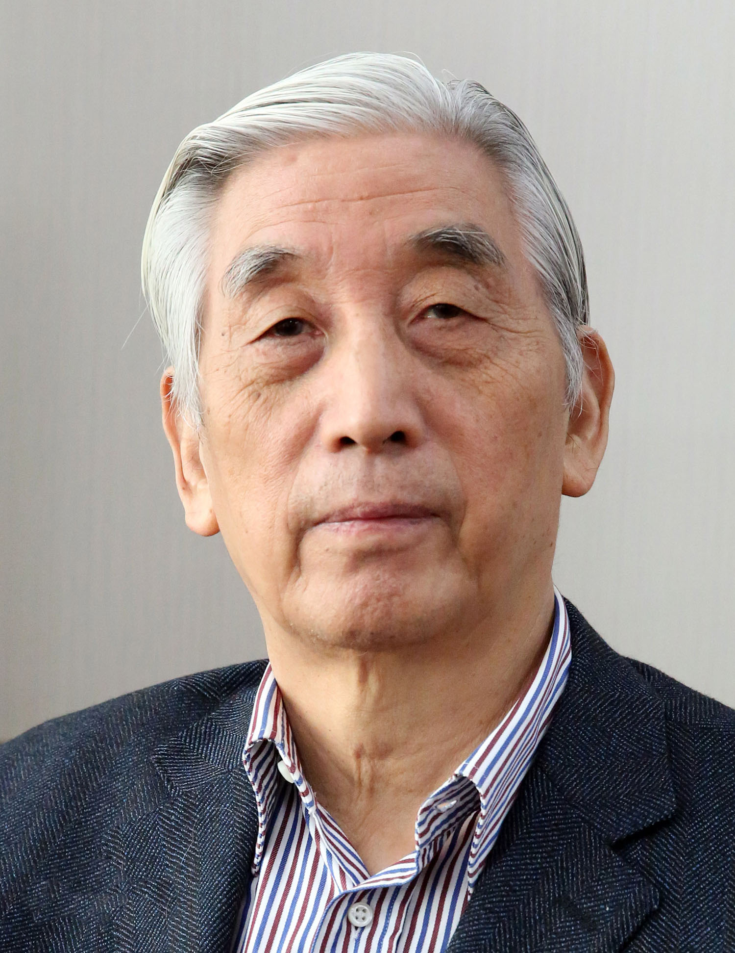 张海书法展中国美术馆,张海隶书作品