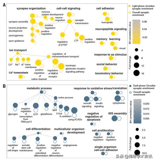 入睡困难是大脑神经出了问题吗,睡眠不好大脑迟钝怎么办