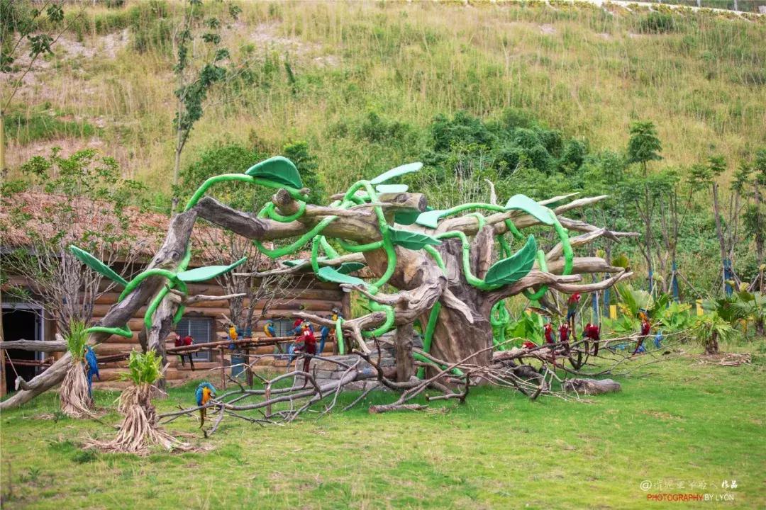 去南京金牛湖野生动物王国堵车吗,南京金牛湖野生动物王国最新活动