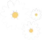 昕芙丽昕雅莎护肤品,昕芙丽和昕雅莎