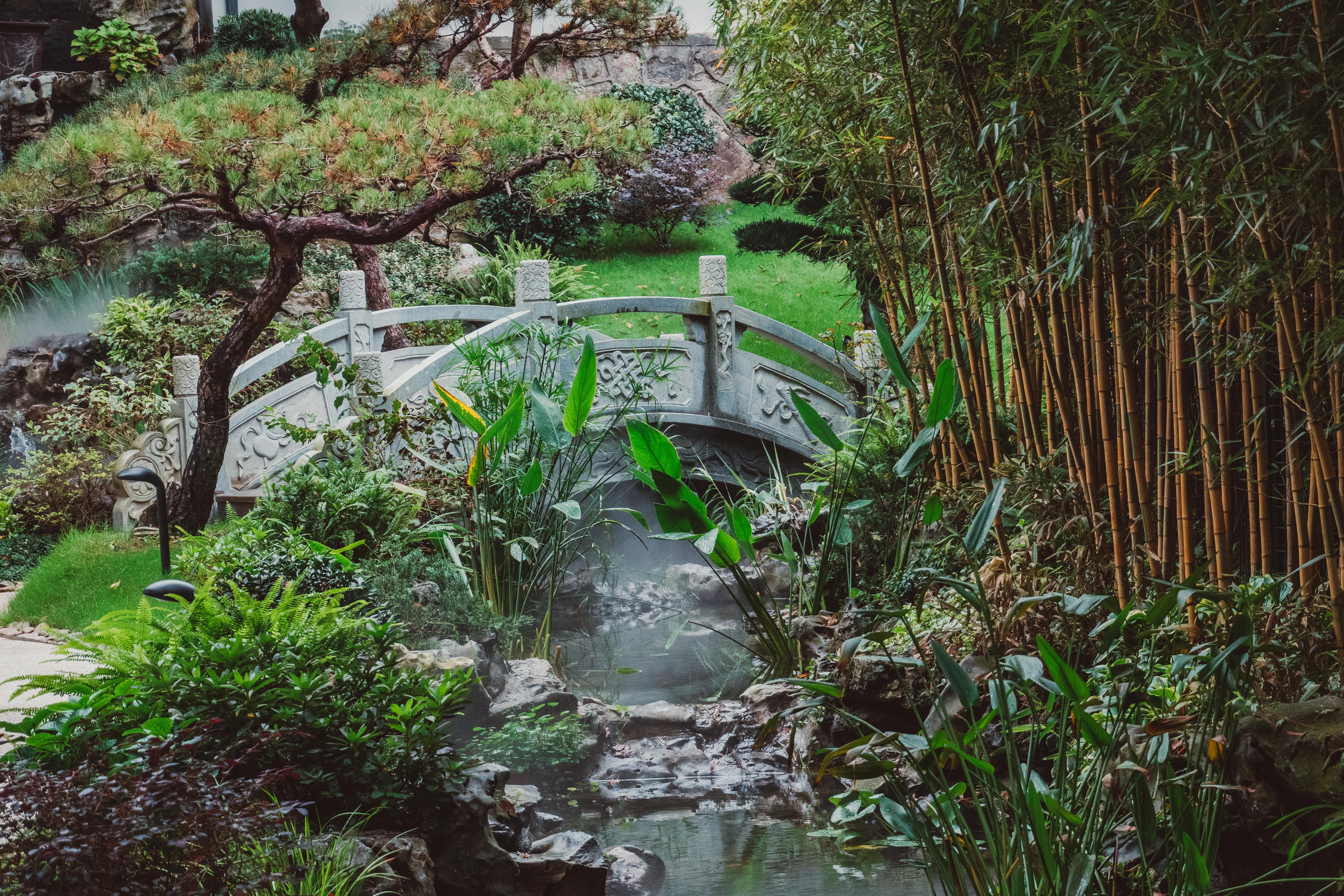 西湖十景九溪,西湖新十景之九溪十八涧