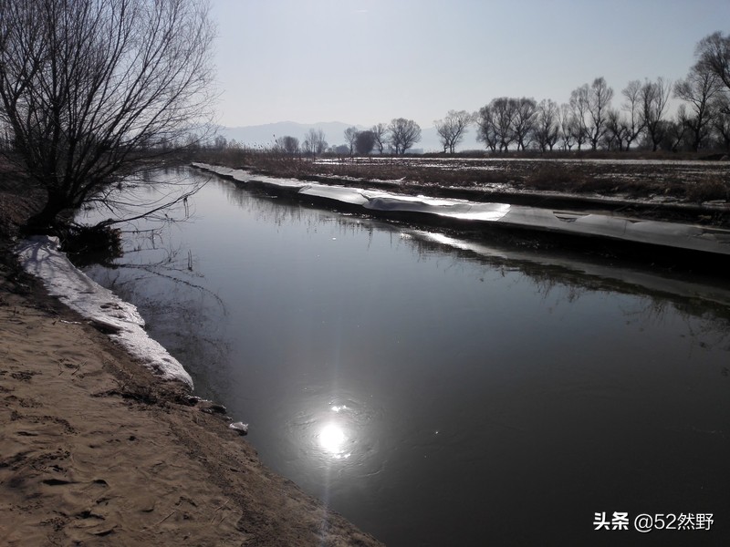 蛙鸣声入耳全文,蛙鸣悠扬音频