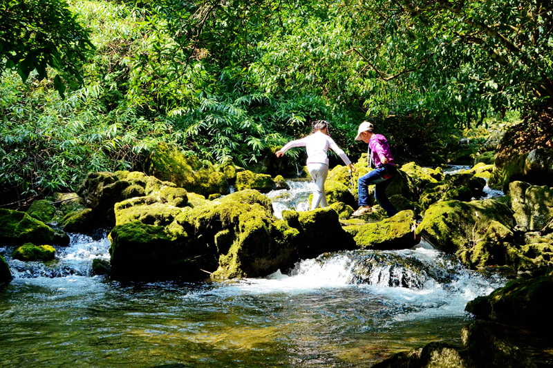 贝爷荔波荒野求生照片,跟着贝尔去旅行荔波
