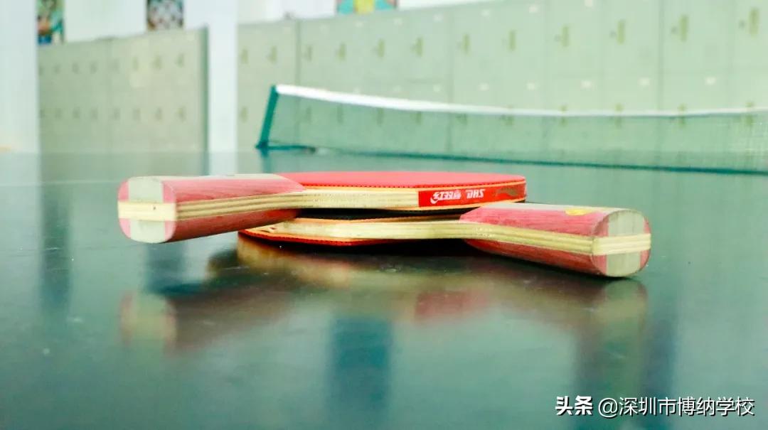 深圳南山这所宝藏国际学校，带你去打卡