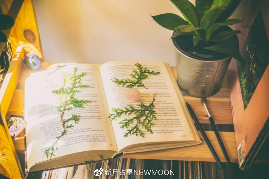 “金天蝎是信任他人,金金牛是被他人信任”|7款金星的真实心声