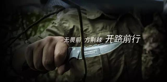 汉道虎鲨户外刀测评,汉道虎鲸战术刀测试视频