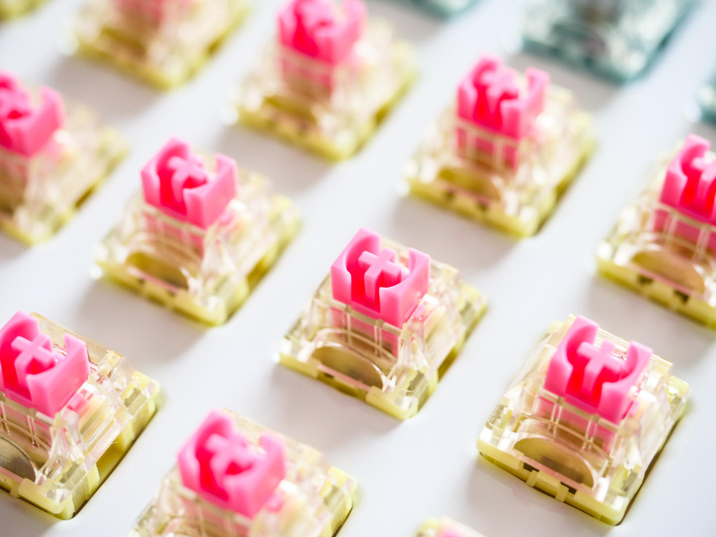 ttc金粉轴为什么比金红轴更受欢迎,ttc金粉轴为啥那么贵