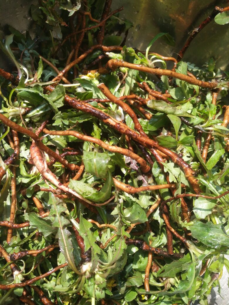 减肥药物评测,减肥瘦身药测评