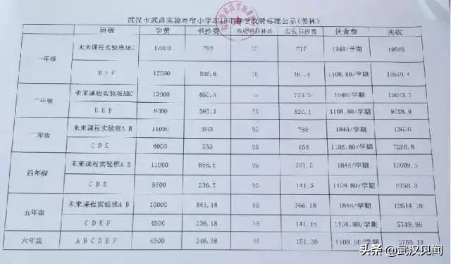 武汉前十小学有哪些,武汉最顶尖的十所小学