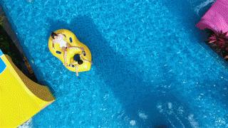 泉州聚龙小镇温泉,聚龙小镇温泉公园酒店别墅团建