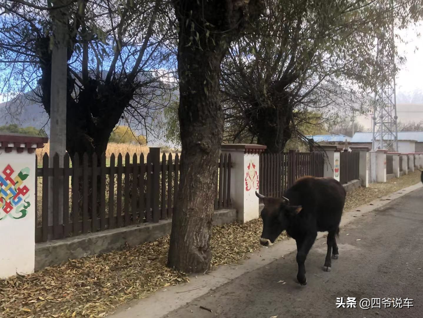 林芝看南迦巴瓦峰的观景台,西藏自驾游南迦巴瓦峰