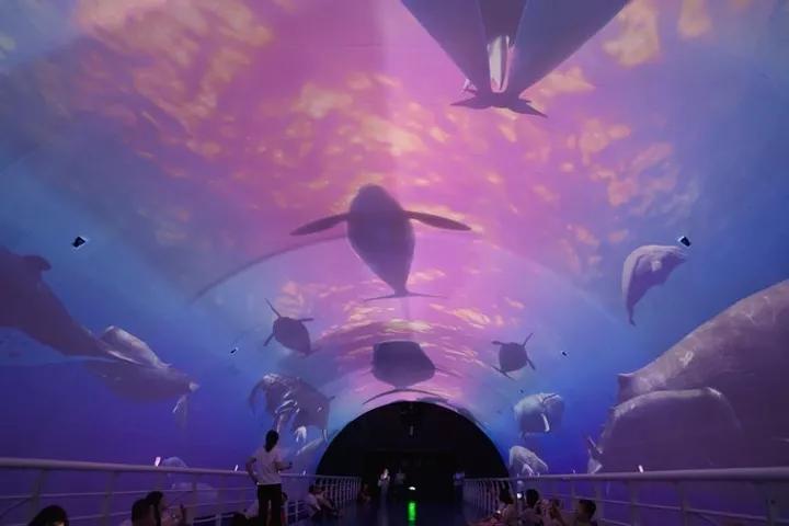 大连旅游攻略精致景点推荐,大连必去的打卡景点