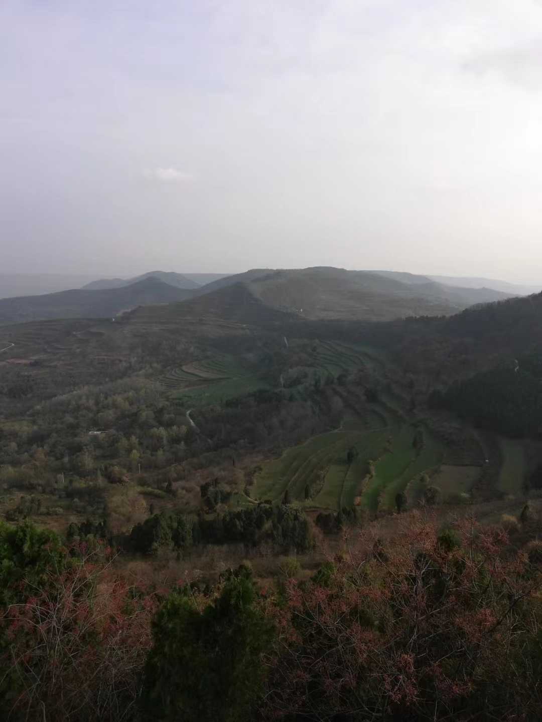 金龙祈福龙飞凤鸣,观音山祈福圣地