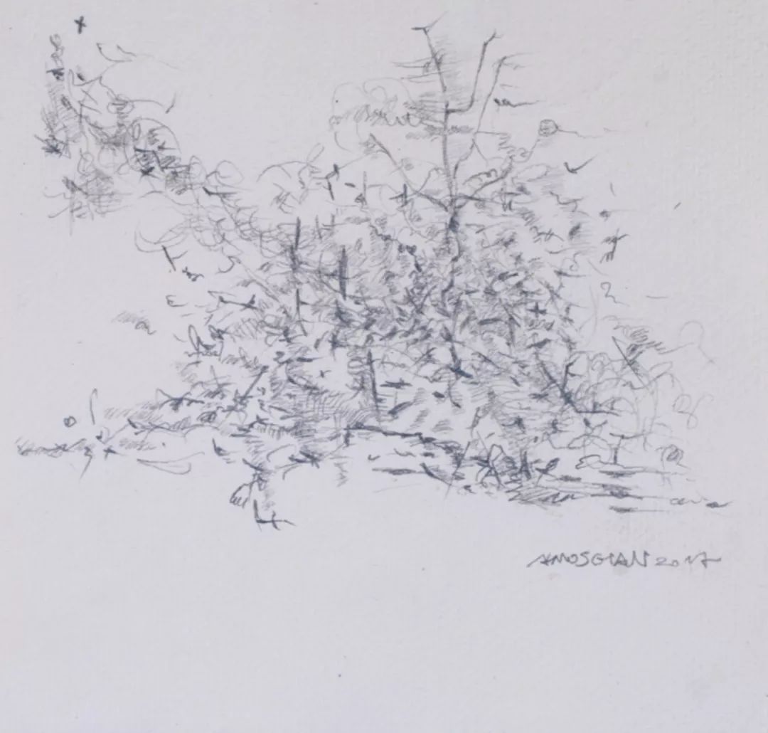 行走的耳朵原唱完整版,行走的耳朵小说